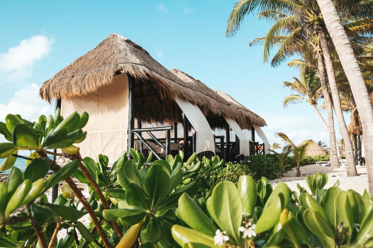 el dorado casitas royale gourmet inclusive resort spa by karisma - all inclusive - adults only cancun