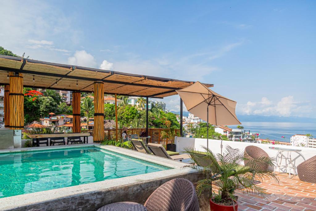 hotel amaca puerto vallarta adults only hotel puerto vallarta swimming pool