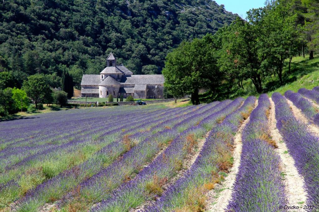 la clé des champs adults only hotel paris hotel surrounded by nature
