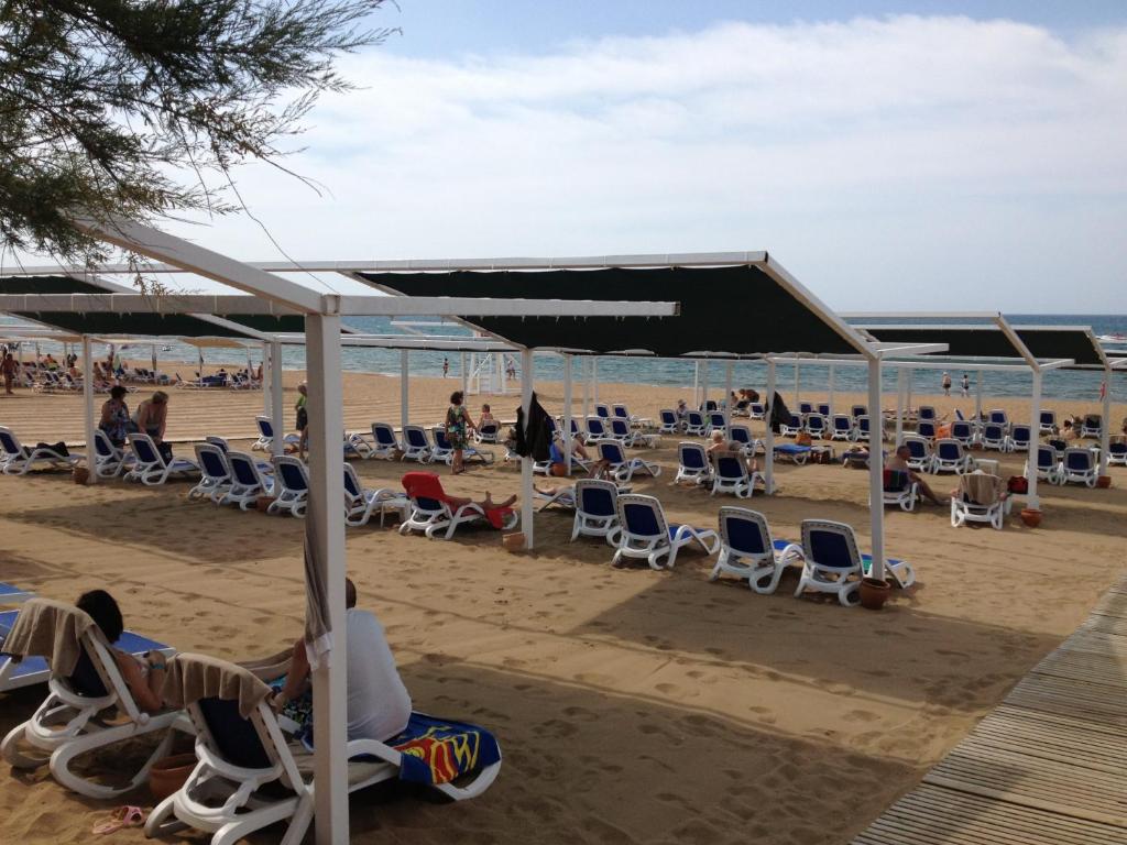 alba royal hotel adults only hotel side beach chairs