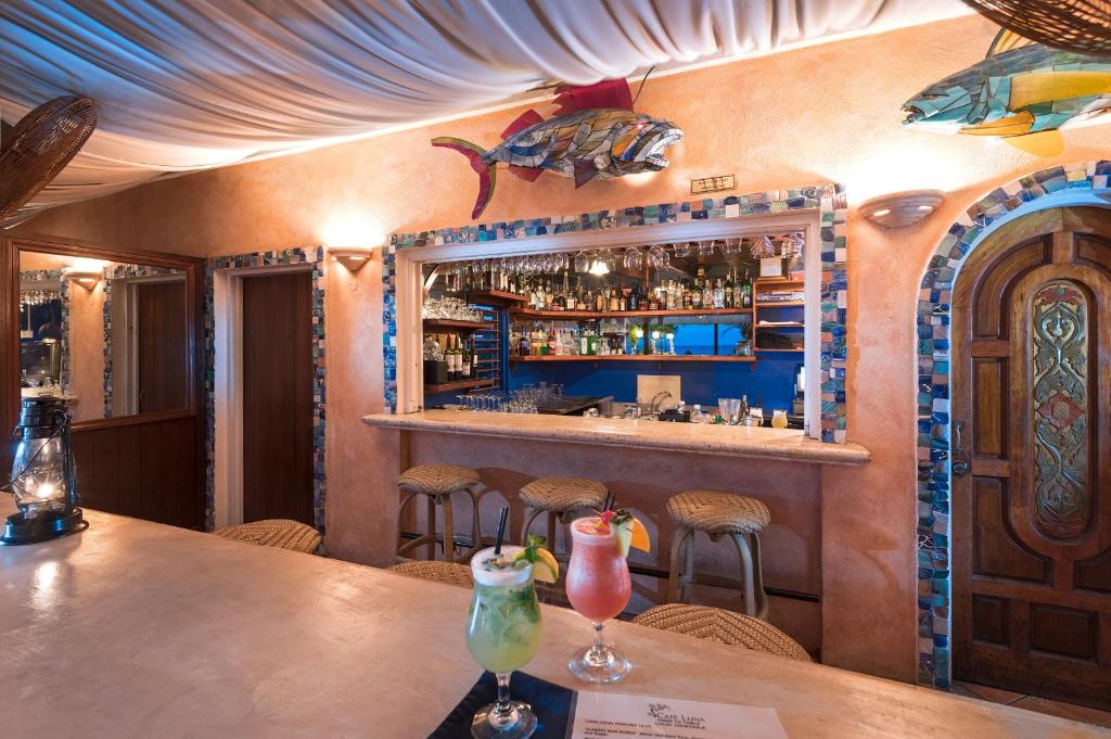 little arches boutique hotel adults only hotel christ church bar