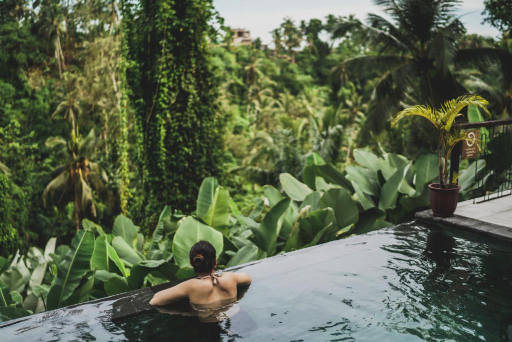 amora ubud boutique villas adults only hotel indonesia ubud swimming pool