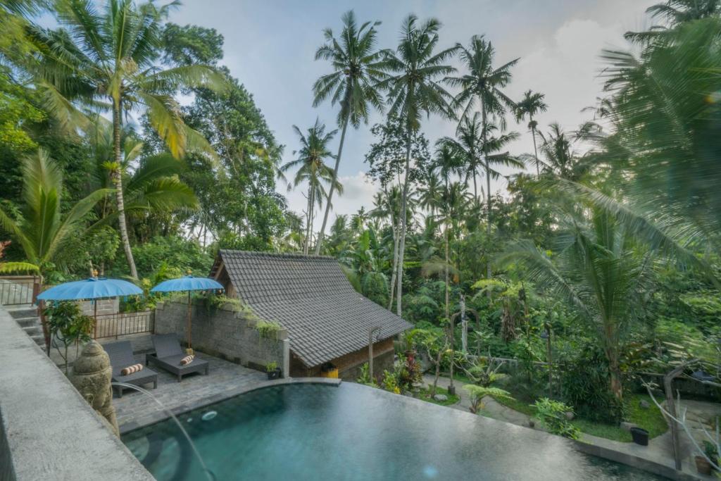 sweet orange pondok adults only hotel indonesia ubud hotel front and pool